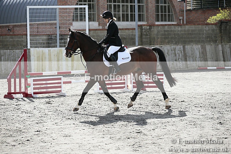 BVRC SJ 170319 427 - Bourne Valley Riding Club Showjumping 17/03/19