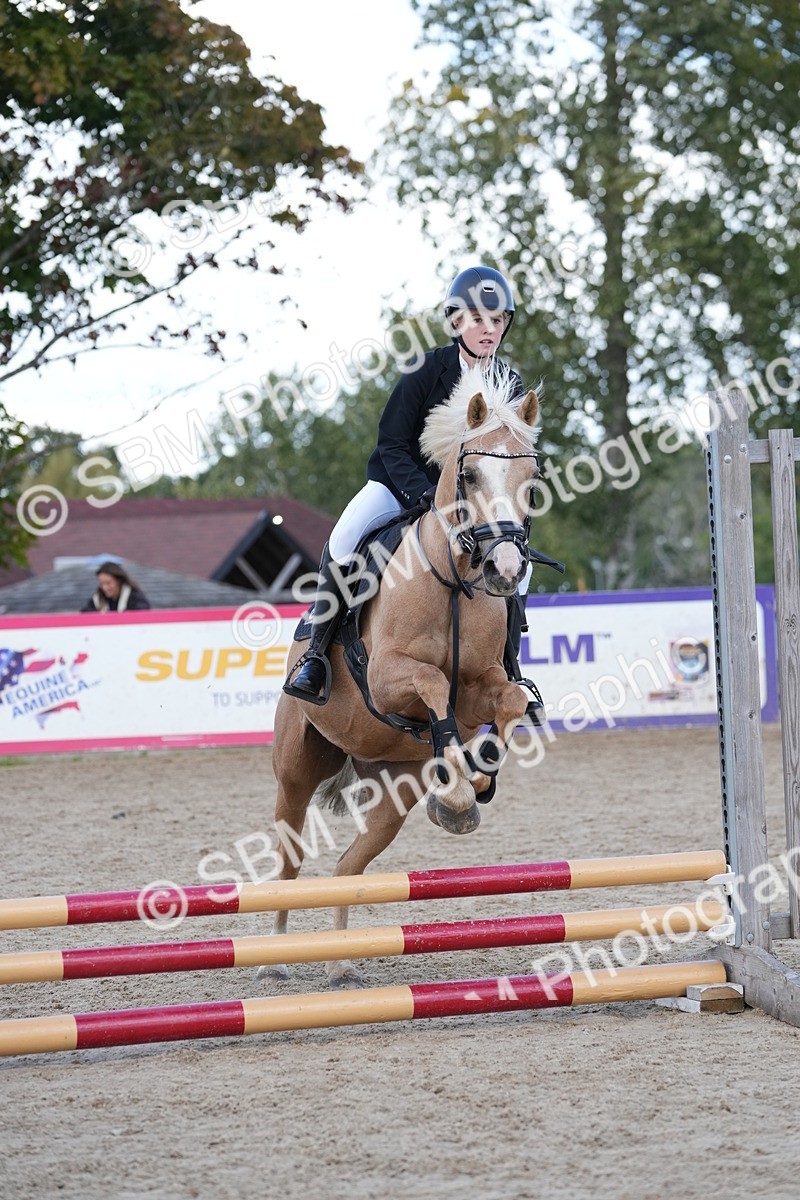 SBM_18081 - J58 - Clear Round 50cm