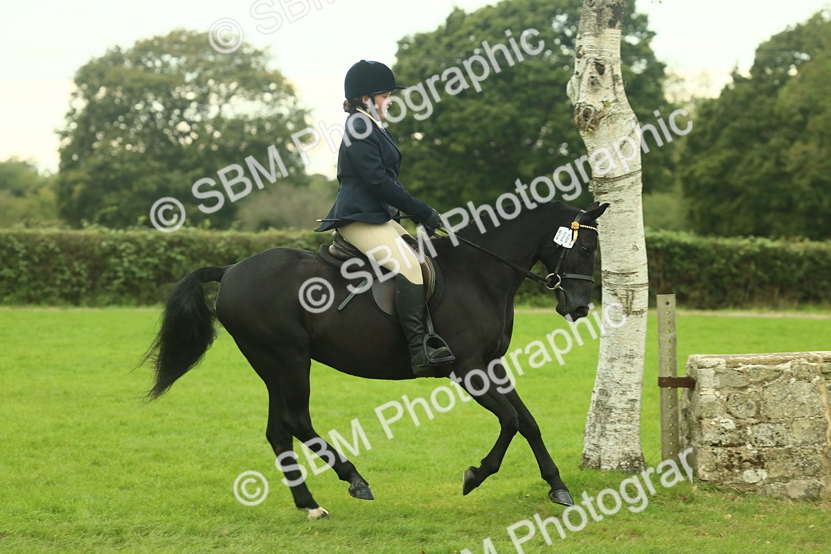 SBM_73940 - S 61 - Show Pony & Show Hunter Pony Ridden