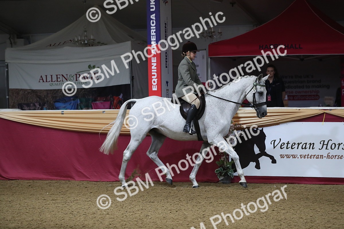 SBM_10305 - Class 102 Equitation (best rider) Adult