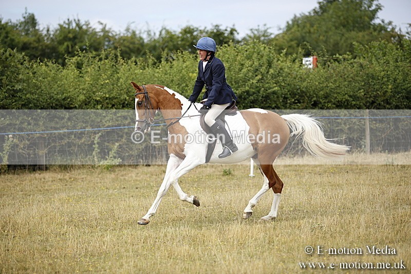 _C7A9539 - BVRC Show 2018 Ring 1