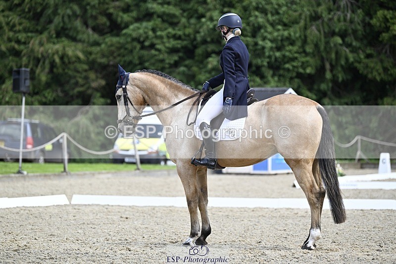 240523-133510-04833 - 109-MJM_BOBBY_DAZZLER-Rosie_Ringer