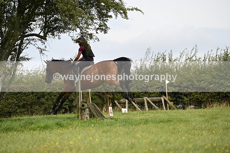 WJ6_9317 - Time 13:30 to 13:48