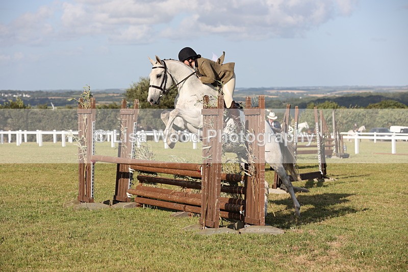 JPP_3477 - Class 22: Working Hunter 90cm