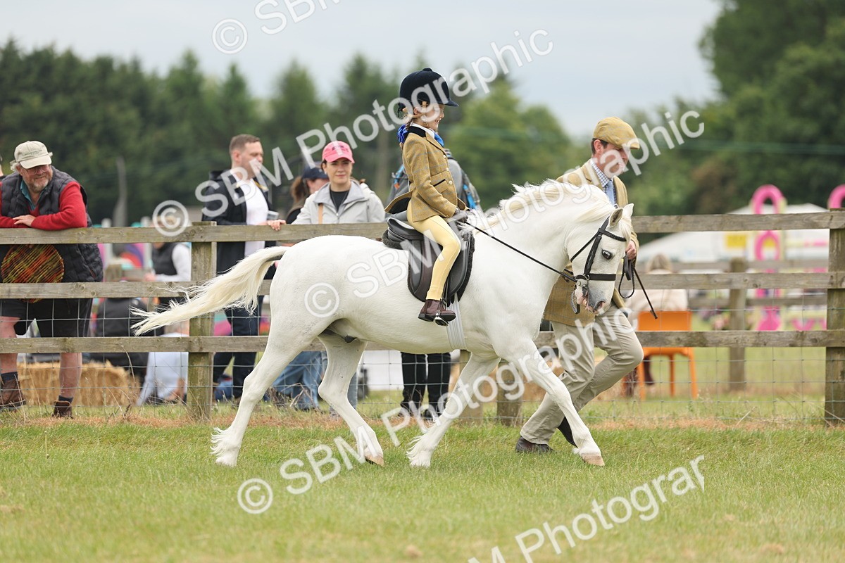 SBM_06702 - Class 74-75 - M&M Lead Rein and First Ridden Pony
