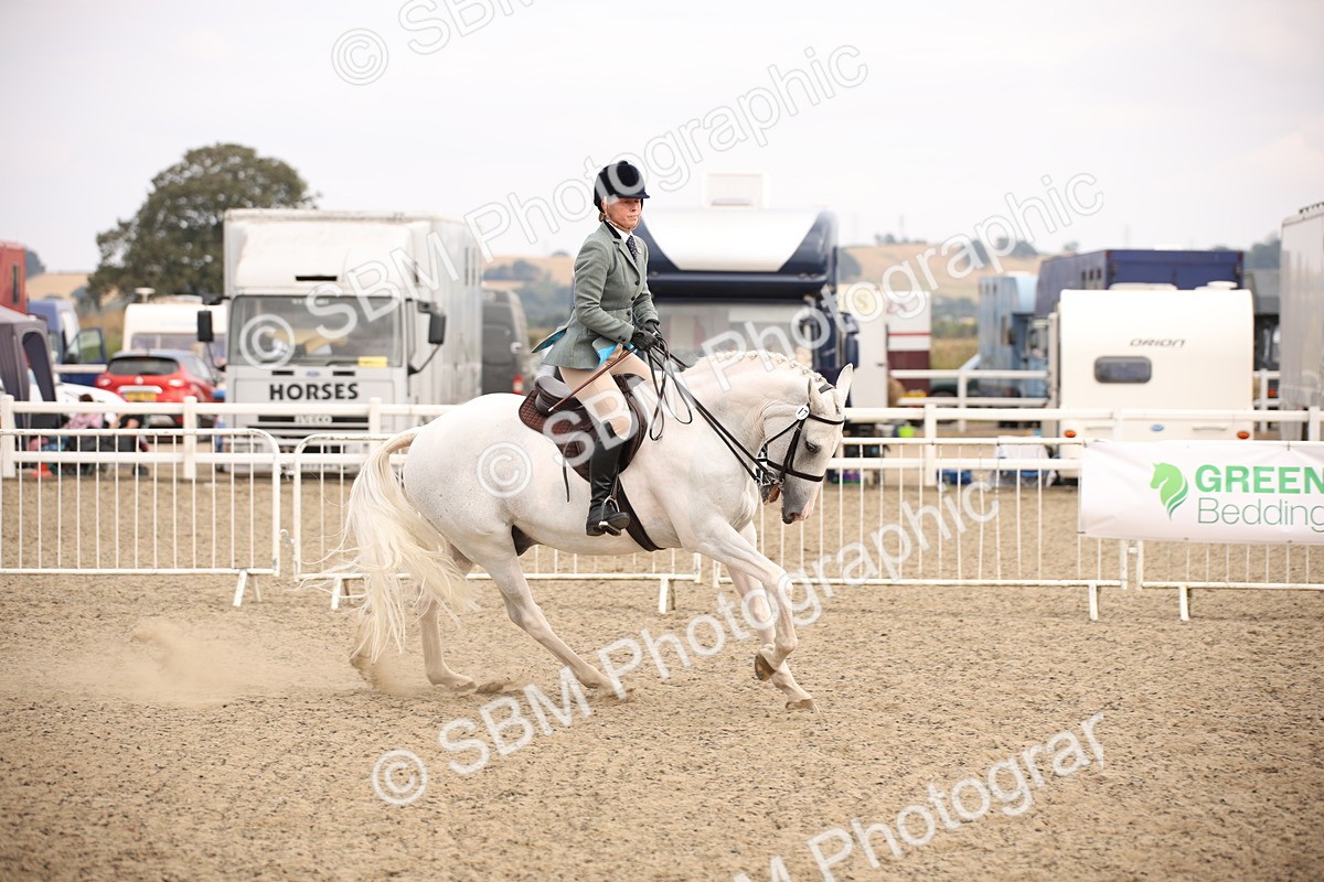 SBM_16158 - Class 409a - Working Veteran 80cm (15-19)