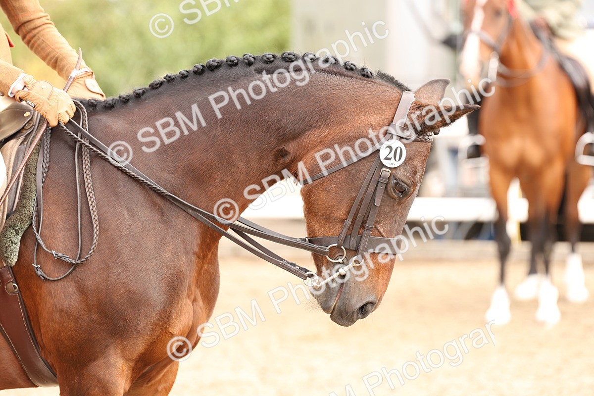 SBM_01552 - Class 52 - Ridden Veteran