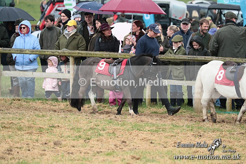 SHETPR 210425 51 - Shetland Ponies Paxford Races 21/04/25