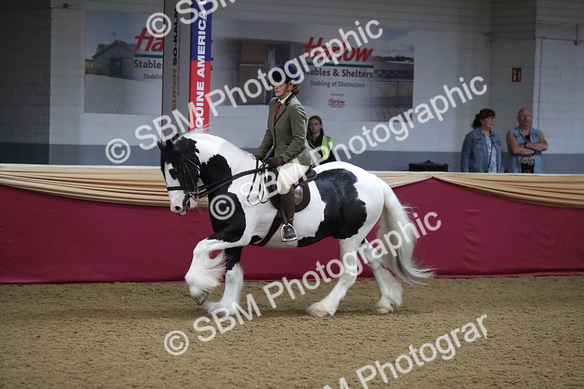 SBM_10427 - Class 102 Equitation (best rider) Adult