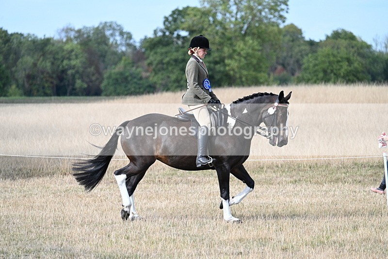 WJ7_7651 - Ridden Championship