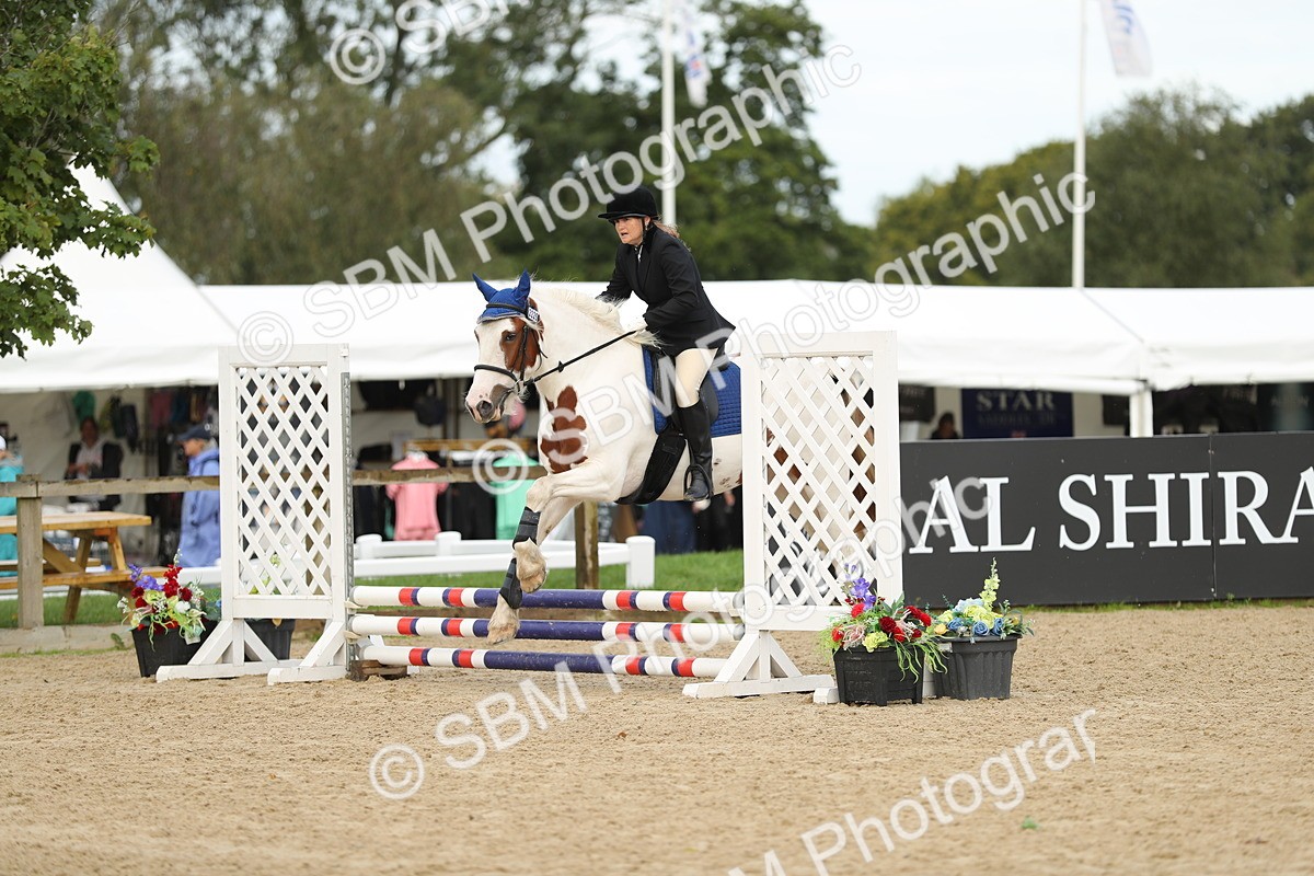 SBM_02029 - J34 - Veteran Rider 50cm