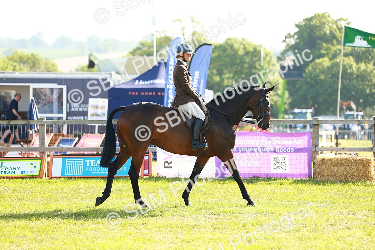 SBM_10817 - Class 66-69 - RIHS Ridden Hunters Inc Small Hunter
