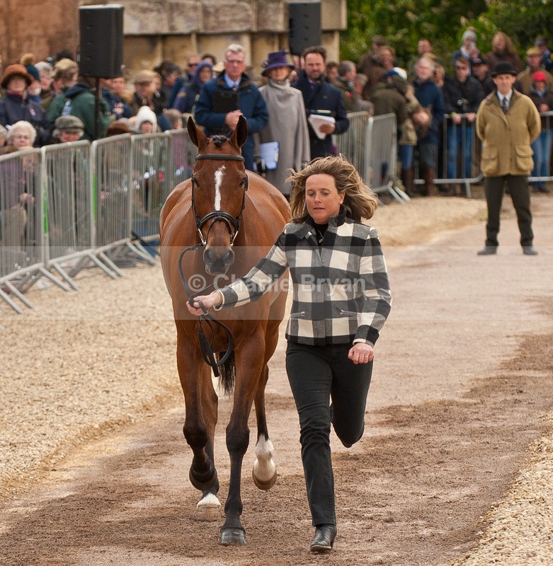  - Mitsubishi 2015 Badminton Horse Trials