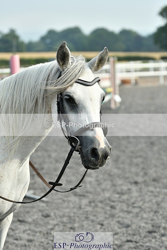 230817-094511-00246 - Theo's 1st Group - Arena