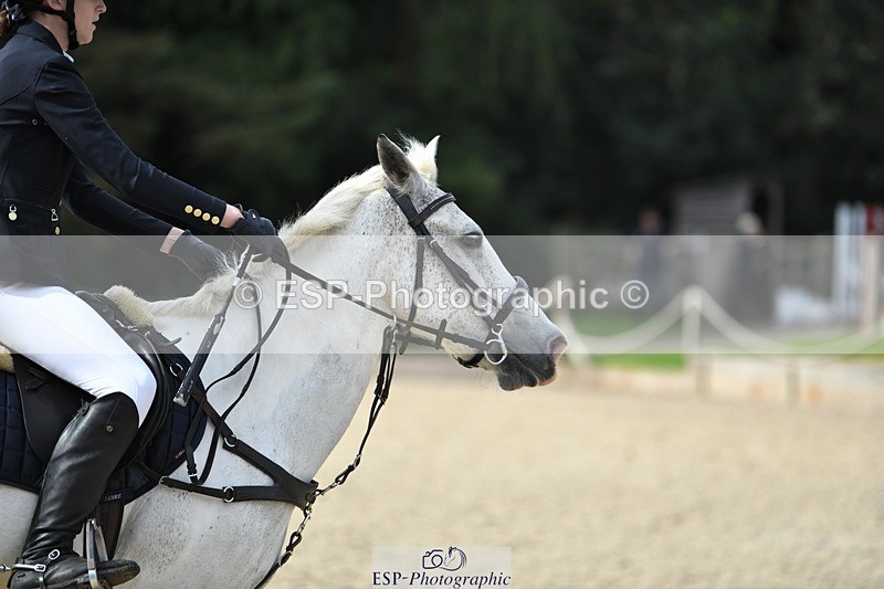 230820-101822-00193 - 80cm - Round 1