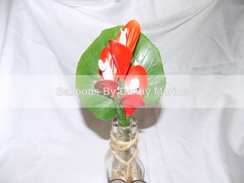  - Balloon Flowers