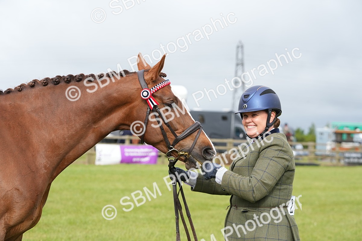 SBM_10626 - Class 97-98 - LIHS BSHA Rising Star Working Show Horse Hunter