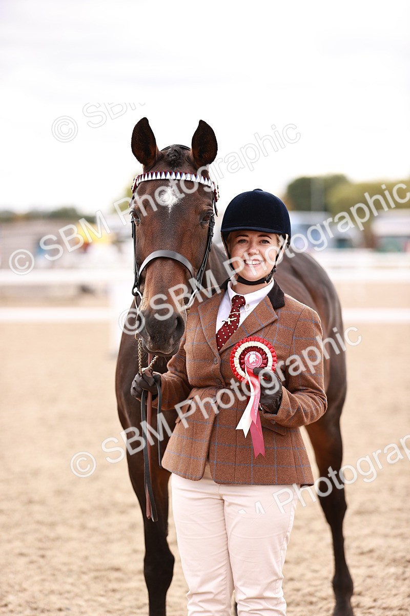 SBM_16141 - Class 411 - Prettiest Mare - (IH or Ridden Adult)