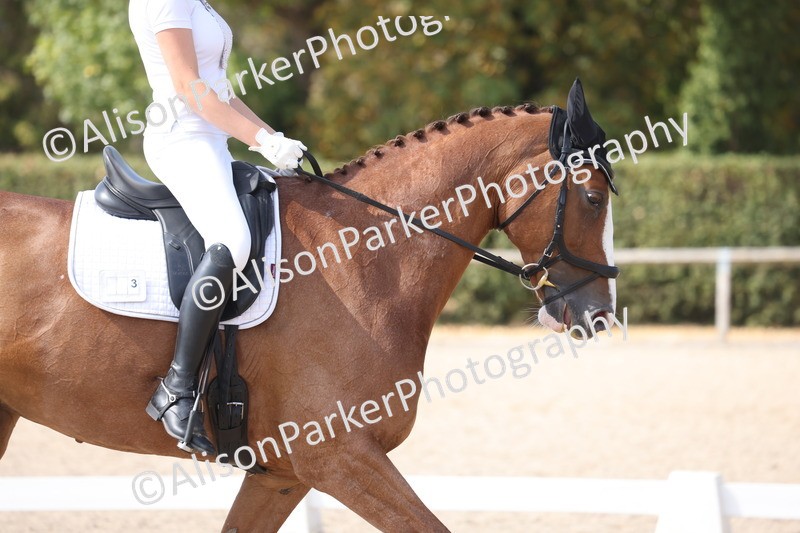 20260815-1129 - Class 6 - Novice 2