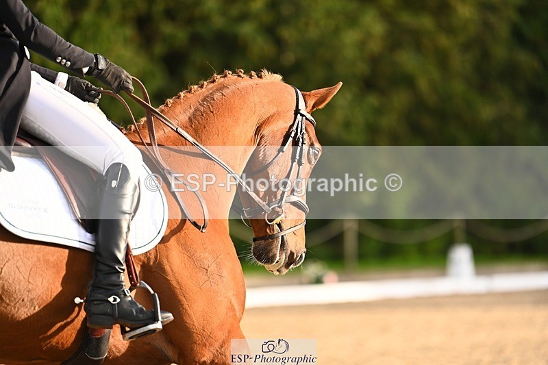 231021-161737-21080 - 265-EG.TIGER.CHILLI-Tayla.Mason-DR