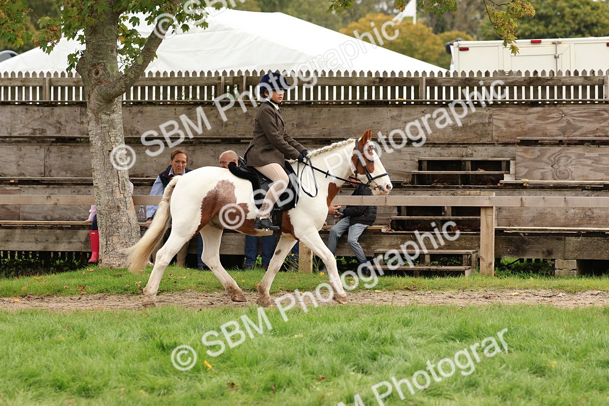 SBM_64430 - S58 - Coloured Pony Ridden