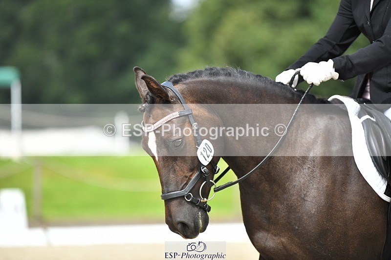 230812-121713-04079 - Cls 6 Novice Silver 12.10 to End