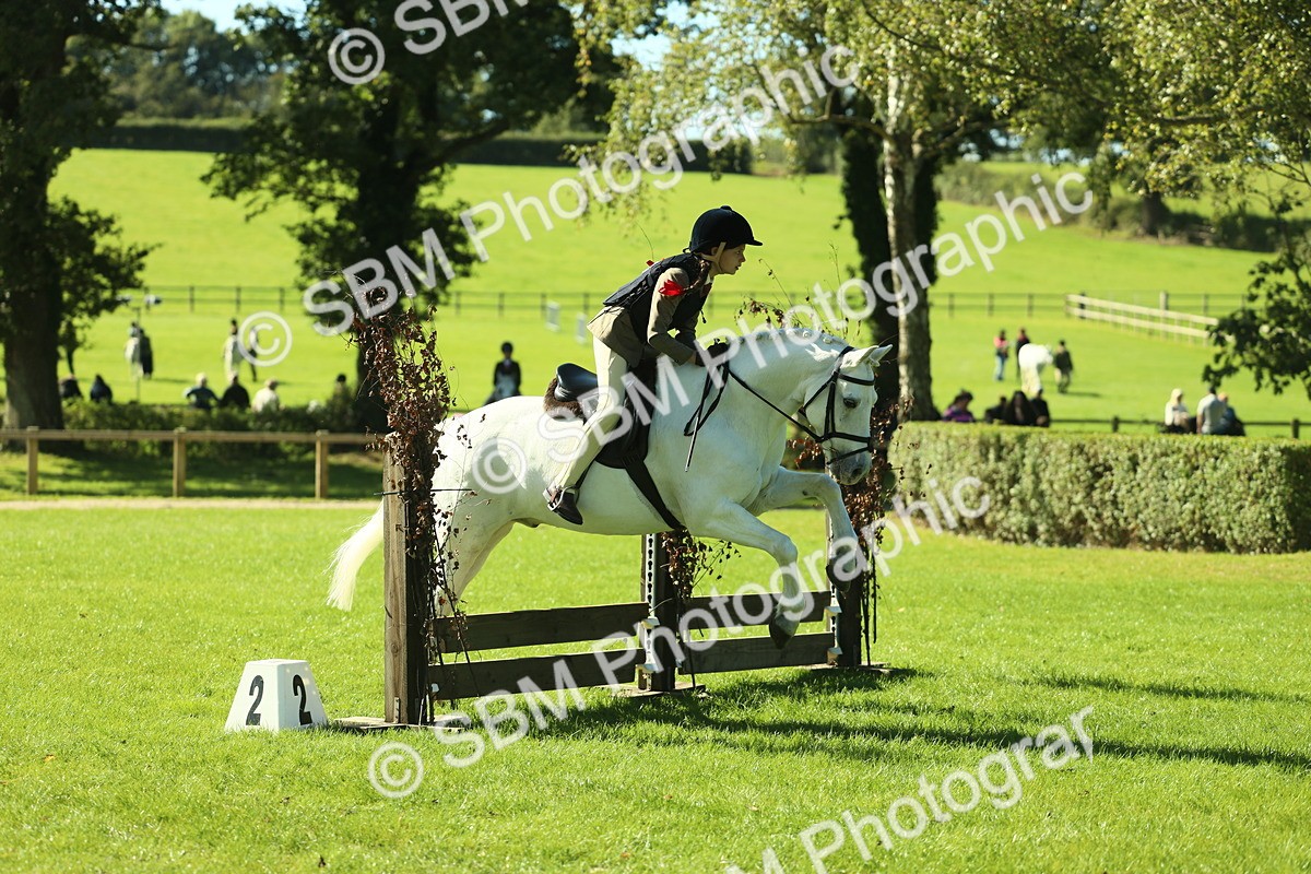 SBM_37500 - S29 - Novice & Newcomers Working Hunter Pony