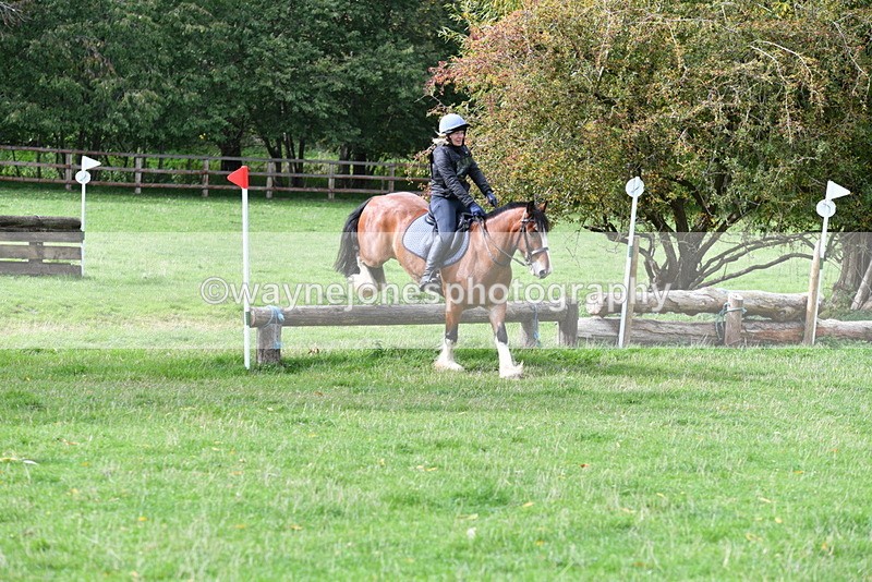 WJ5_9423 - Time 13:03 to 13:25