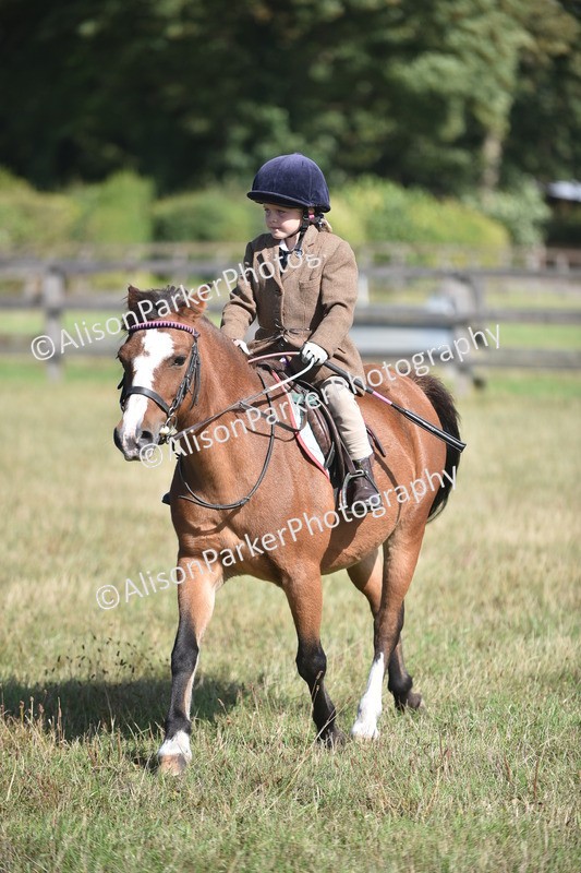 20260906-0987 - Class 7 - Absolute Novice Jumping 35cm