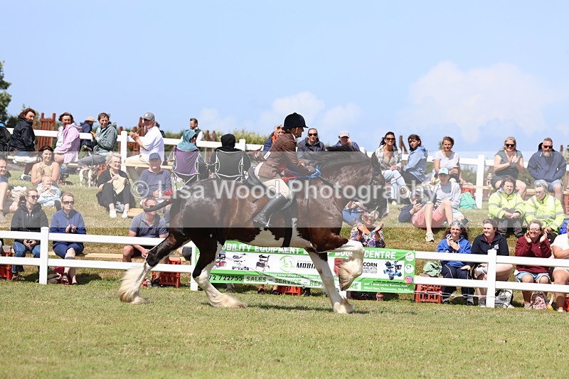 3E7A2928 - Class 13: Heavy Horse Ridden