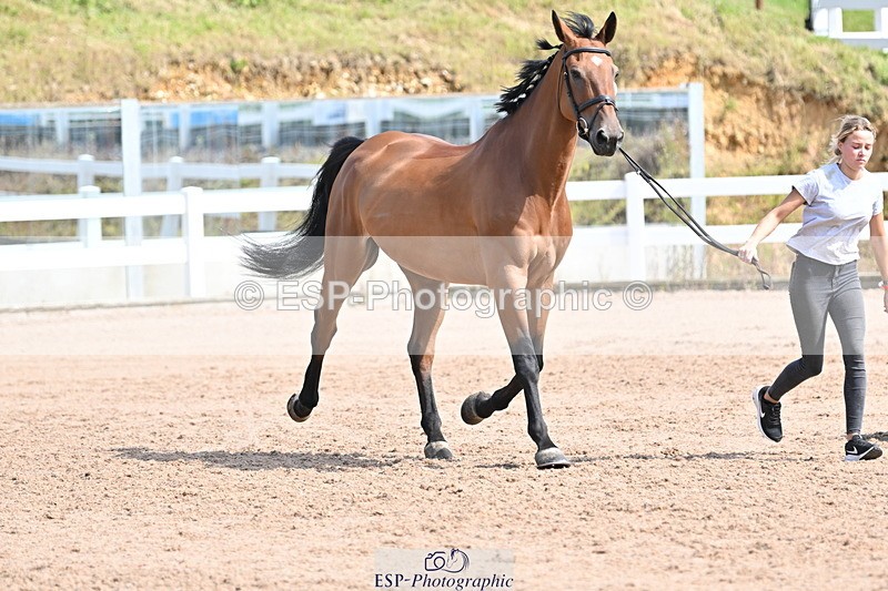 240717A-155336-03145 - Trot Up 3pm to 4pm