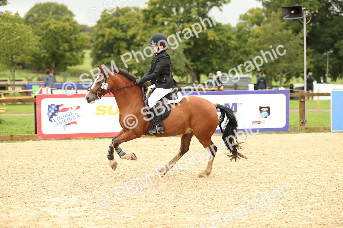 SBM_34250 - J60 Clear Round 50cm