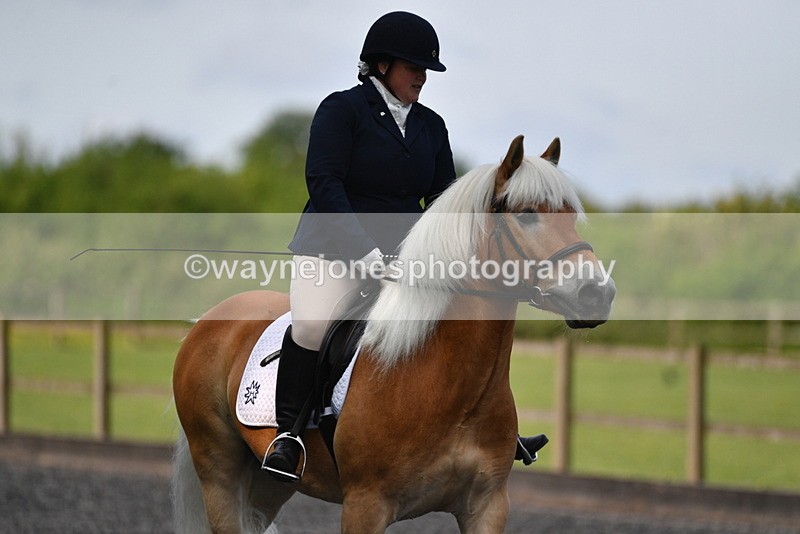 WJ5_9214 - Time 10:10 to 10:47