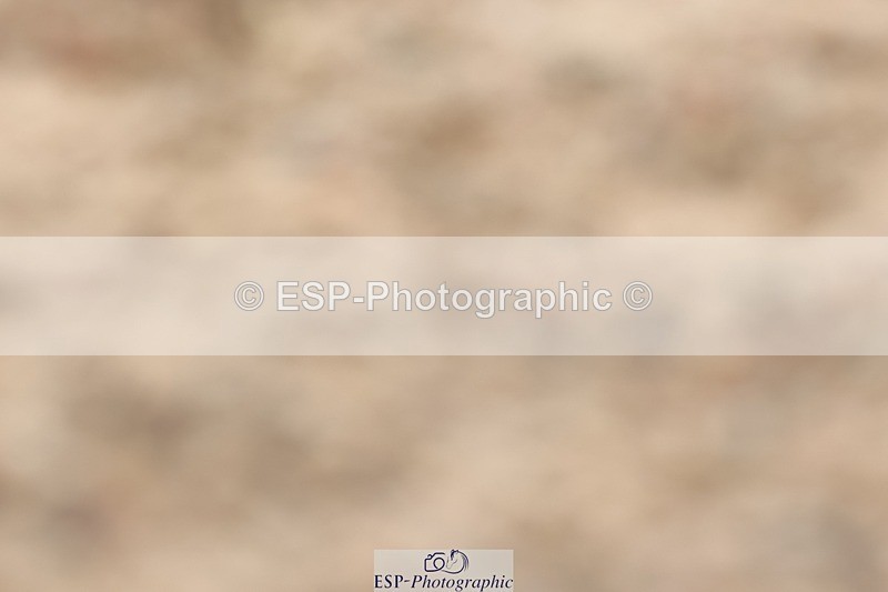 250622-134133-17081 - Cls 51 Elementary 6