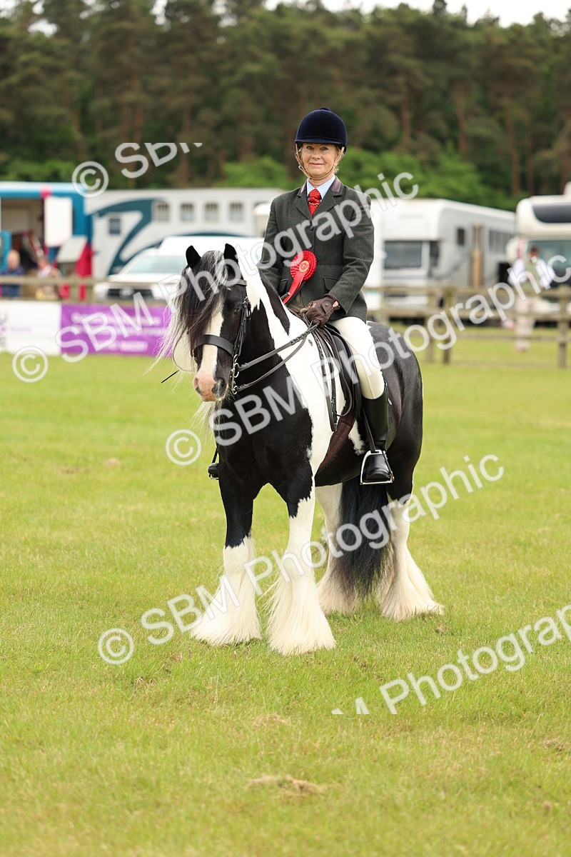 SBM_06299 - Class 39-41 TGCA In Hand and Ridden