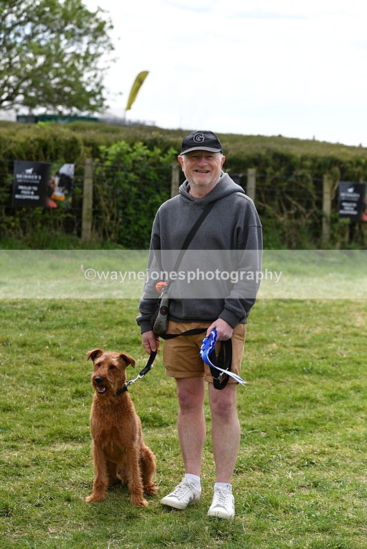 WJ5_9865 - Class 3 Most Handsome Dog