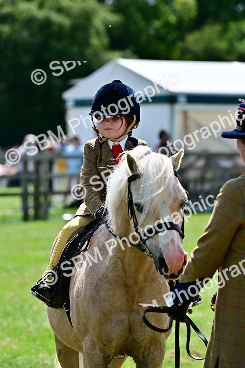 SBM_05923 - Class 59-60 - TSR M&M  Lear Rein and First Ridden Amateur of the year