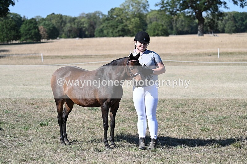 WJ7_2112 - Class 44 Child's Best Friend