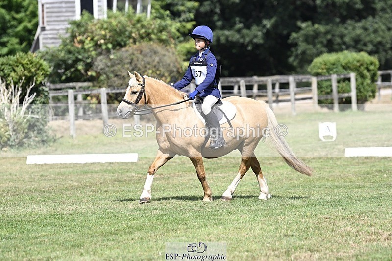 250821A-122748-15556 - DR 11.00 to 12.00