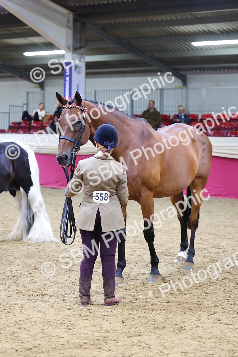 SBM_21145 - Class 902 - Supreme Final IH Veteran