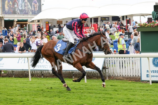 yr11062022r1-163 - Race 1 12.45pm Macmillan Ride of Their Lives, supported by Sky Bet