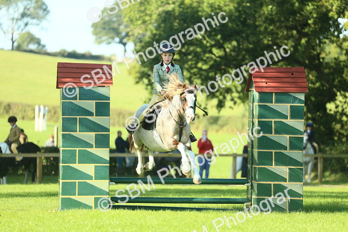 SBM_36368 - S29 - Novice & Newcomers Working Hunter Pony