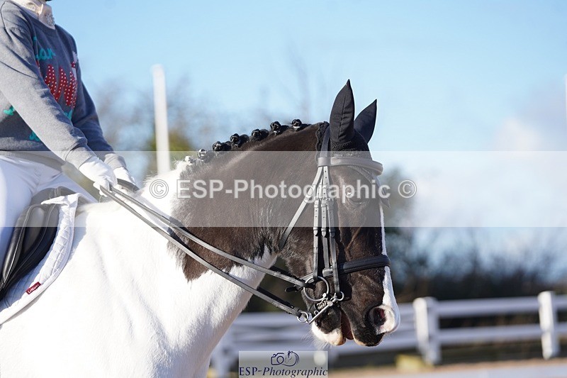 241214-133904-00633 - 150-Looby.Marsden-Essentially.Small.Change