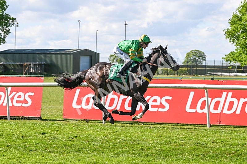 030525-Race 5-Savrola-3252 - Race 5