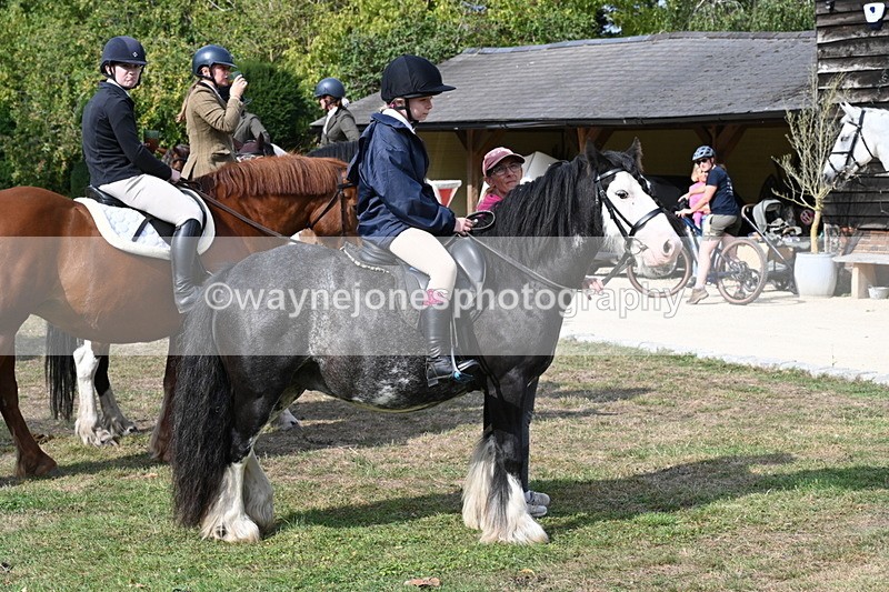WJ6_3281 - Berks & Bucks - The Old farmhouse - Hound Exercise 20-08-25