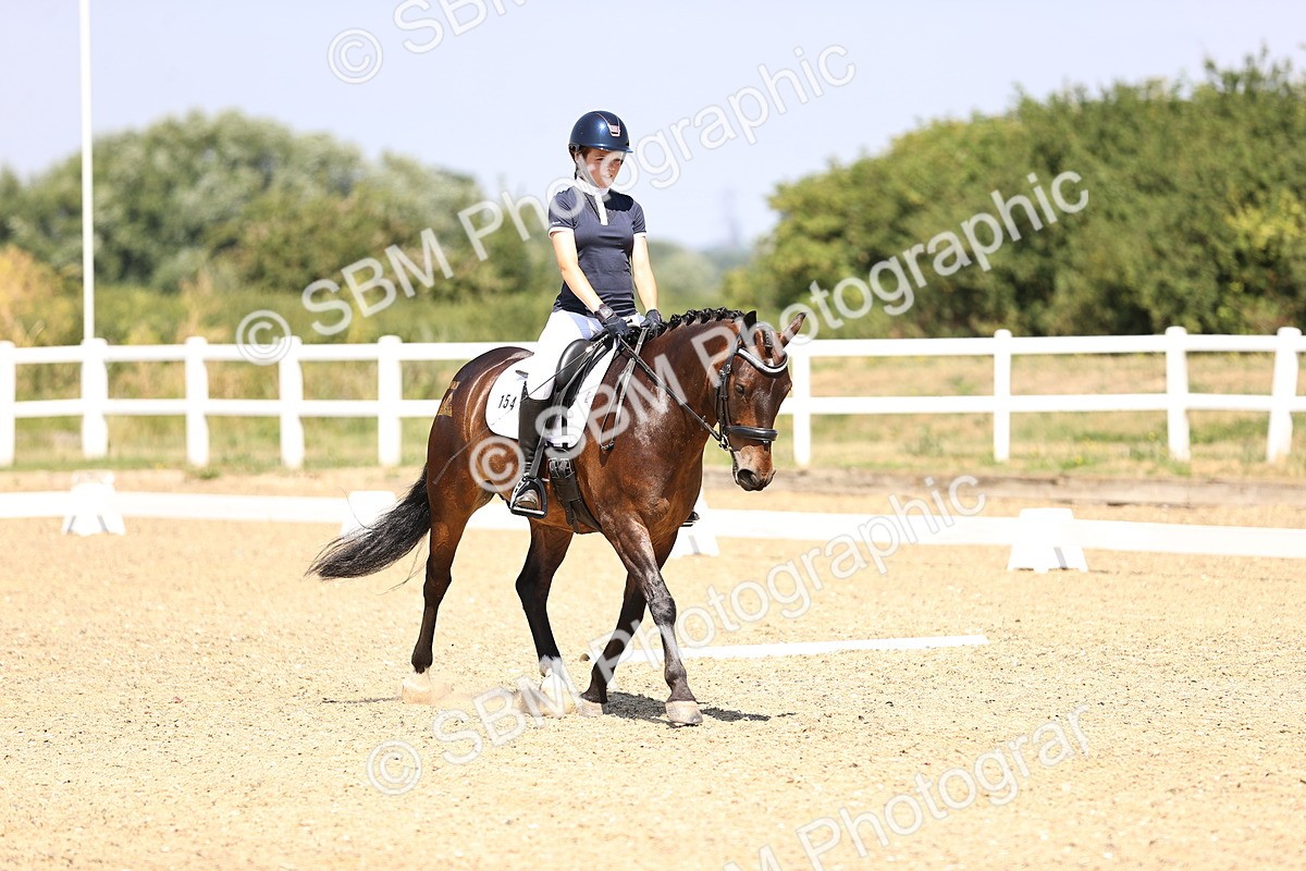SBM_003911 - Intro 2