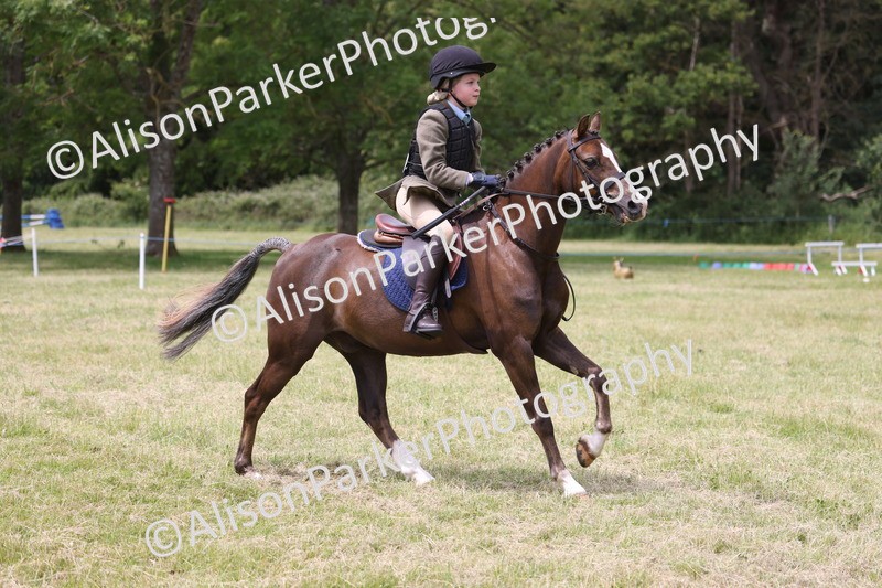 20260614-2849 - Class 22 - Open Working Hunter