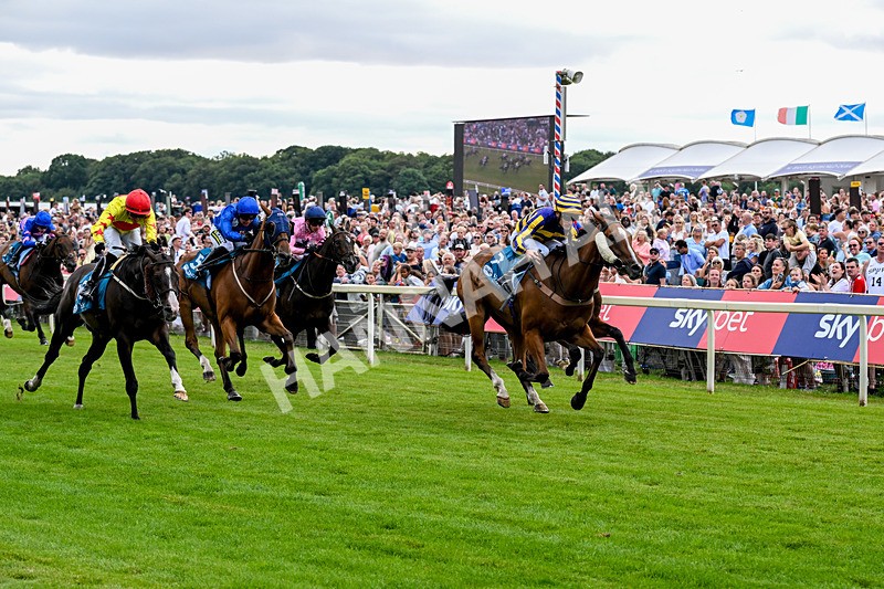 250726-Race 4-Dwindling Funds-0945 - Race 4 15.05pm Sky Bet For The Fans Handicap