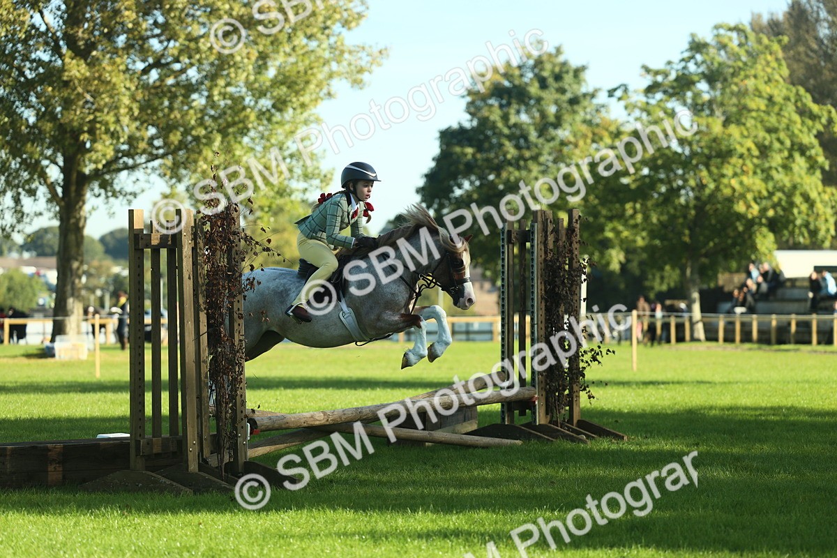 SBM_36352 - S29 - Novice & Newcomers Working Hunter Pony