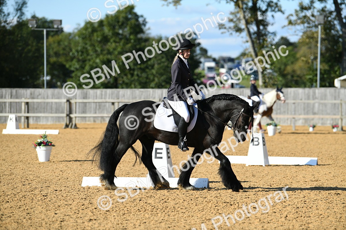 SBM_28463 - D16 - Small Tour Championship - Novice 28